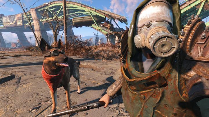 Dogmeat and I
