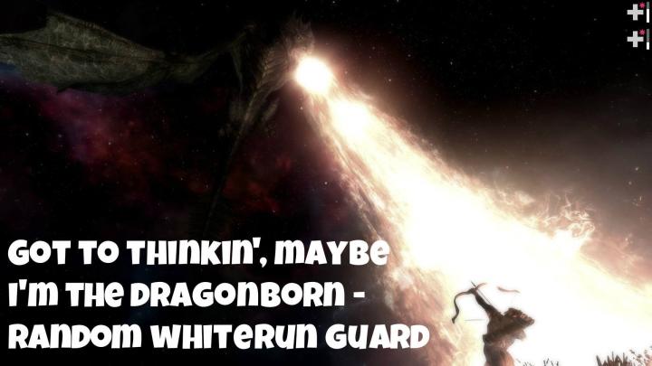 Dem random whiterun guards think they can be a dragonborn...