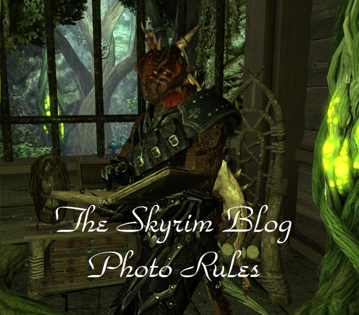 The Skyrim Blog - Photo Rules