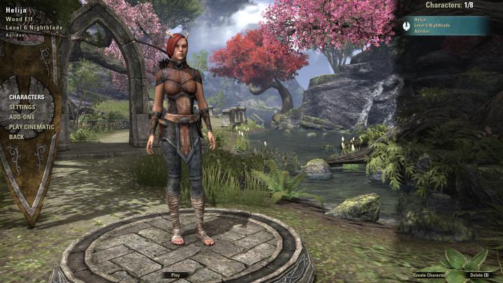 My ESO Character