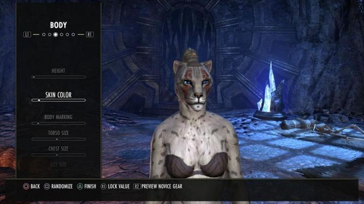 Or Does This One Play Khajiit?