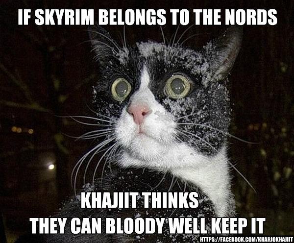 Khajiit thinks the Nords can keep Skyrim