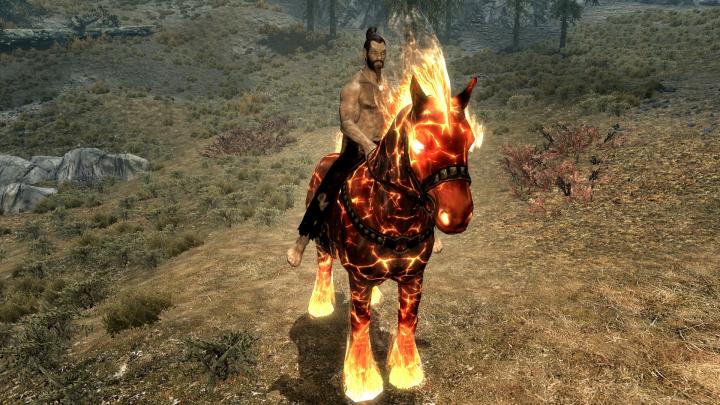 Best horse ever